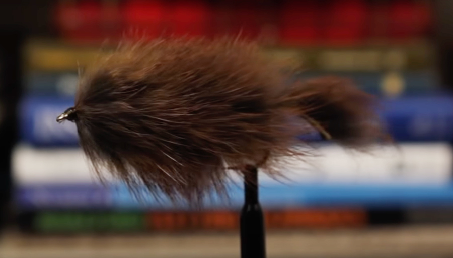 Video How to Tie the Pine Squirrel Streamer Orvis News