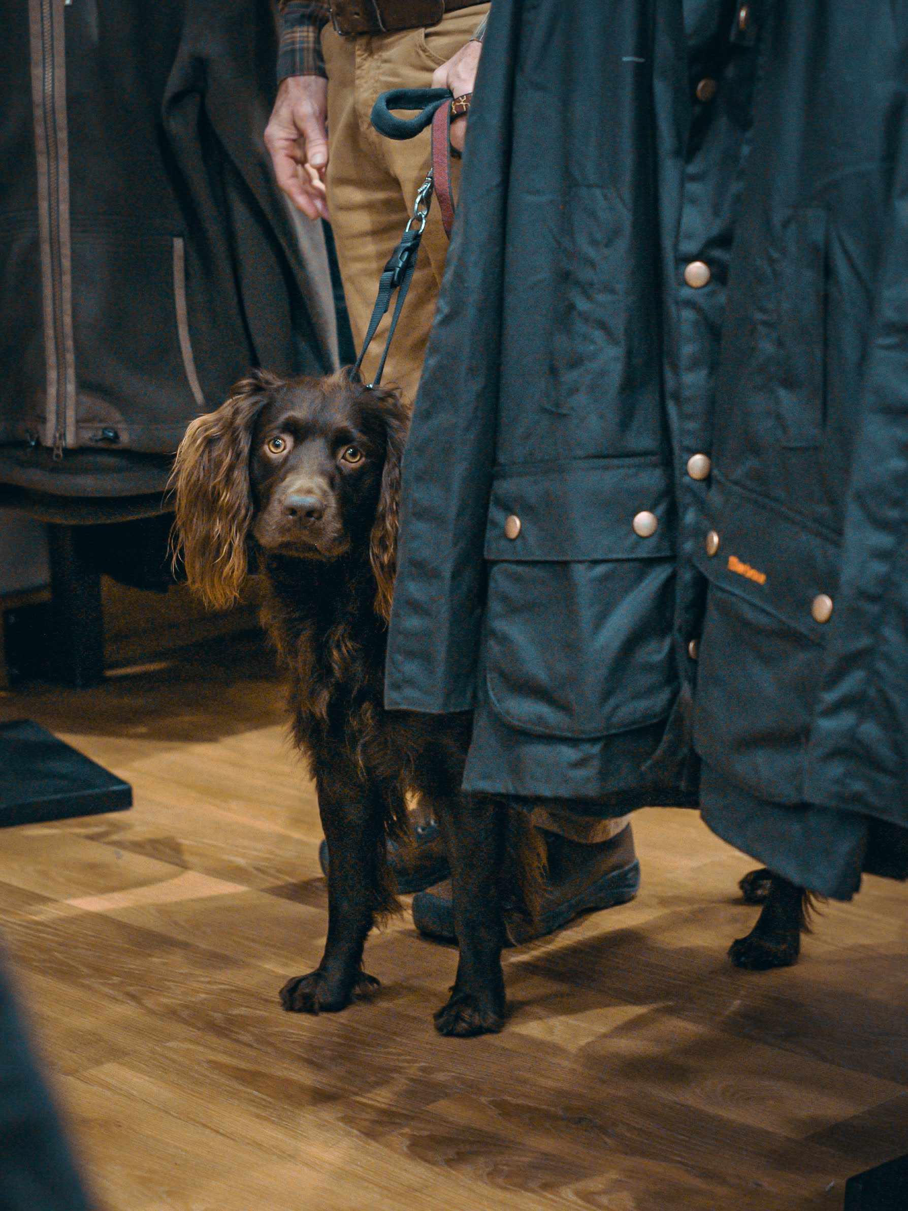 Celebrating Conservation Orvis Charlotte, NC Orvis News