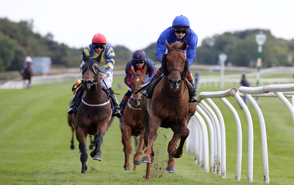 Horse Racing tips Timeform’s top trixie for Catterick on Wednesday