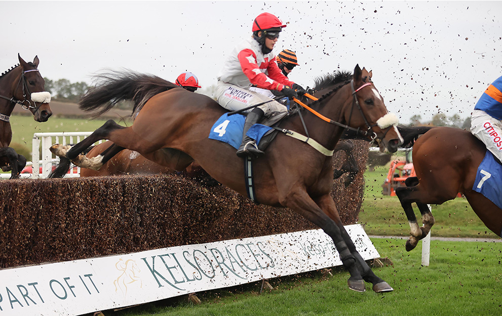 Horse Racing Tips Our best Kelso bets include a 7/1 punt