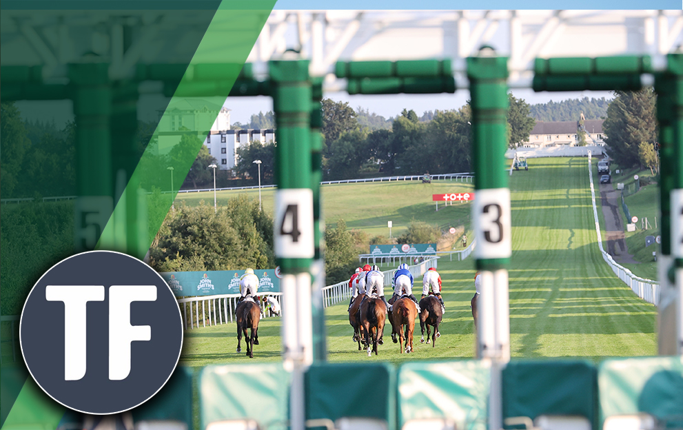 Horse Racing Tips Timeform's best bets at Hamilton on Tuesday