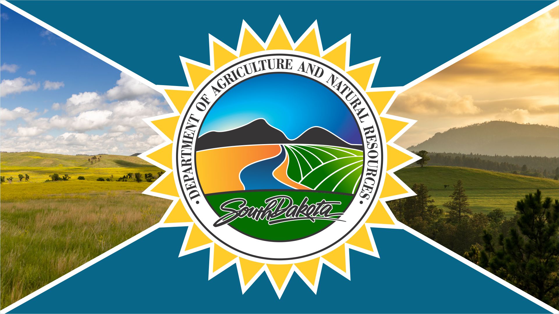 Emerald Ash Borer Confirmed in Lennox, SD News