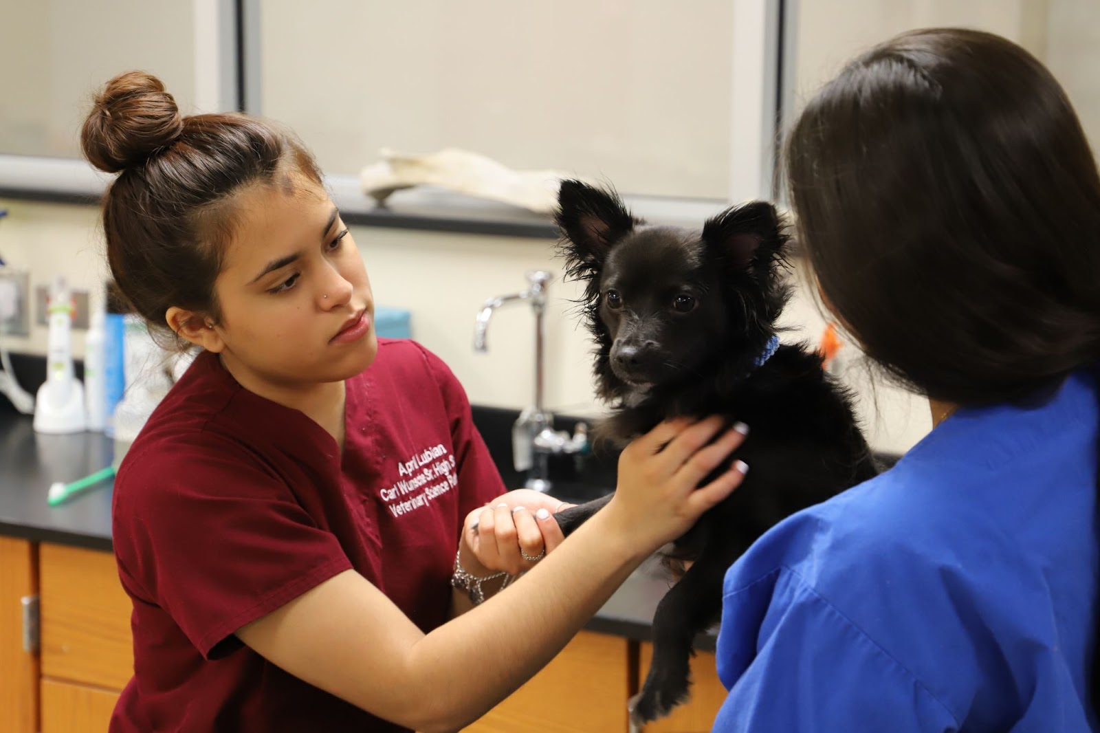 Wunsche Wellness Clinic to offer lowcost pet vaccinations and other services Spring ISD News Blog