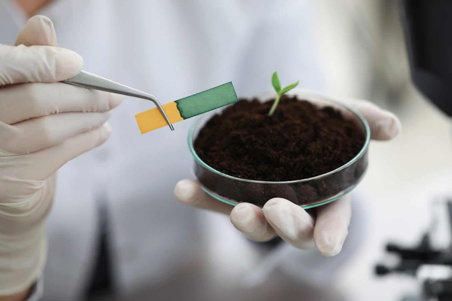 New Zealand Innovates with Comprehensive Soil Health Testing Method