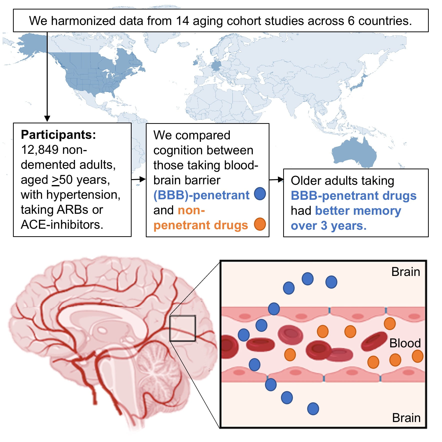UCIled metaanalysis identifies hypertension medications that help