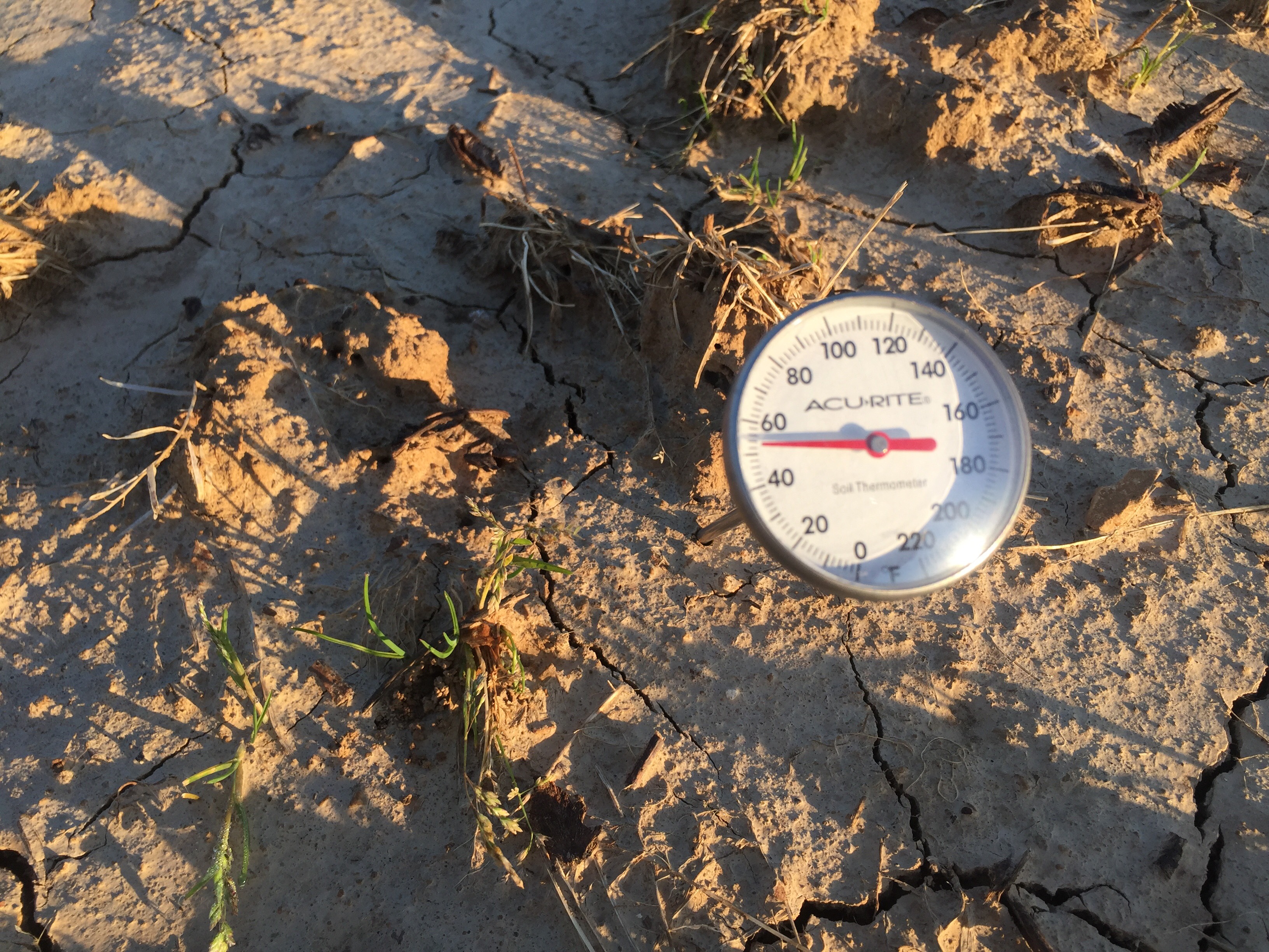 soil_temp_5_1_2018 UT Crops News