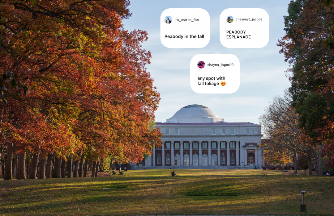 Vanderbilt’s Most Instagrammable Spots on Campus as Chosen by You