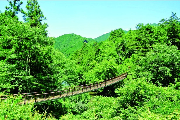 緑の自然環境が、中毒を防ぐ - キレーション治療(療法)・アンチエイジング治療は満尾クリニック 行ったつもり絶景】緑が美しい！都内近郊の山景色Best3｜ウォーカープラス