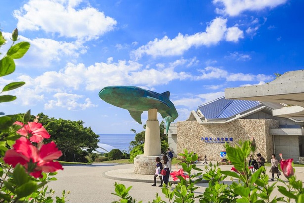 那覇 空港 ちゅら 海 水族館 時間