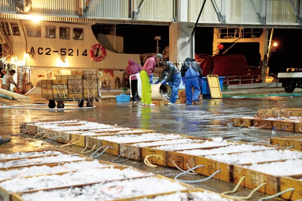 三河湾の魚介類と希少な深海魚を水揚げ！レアな魚介を食べるなら、愛知県・形原漁港｜ウォーカープラス