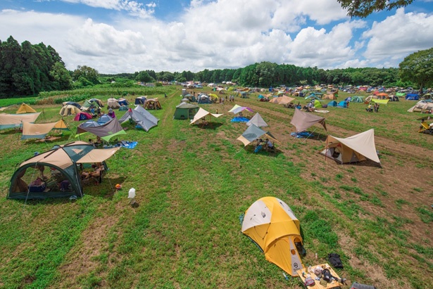 【関東】ビジュアル重視！楽ちん＆かわいい「手ぶらキャンプ場」が大人気！ はじめてのキャンプWalker ウォーカープラス