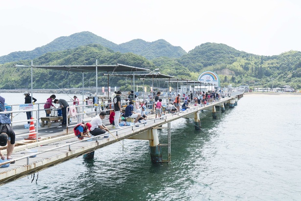 手ぶらで気軽な海釣りにチャレンジ！｢福岡市海づり公園｣で体験レポ｜ウォーカープラス