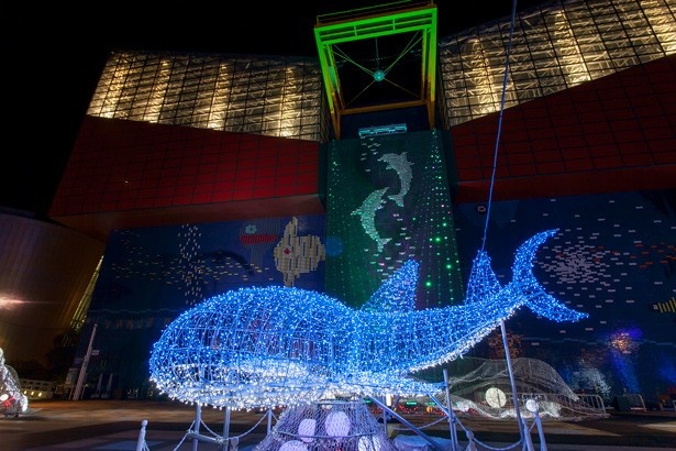 ＜画像16 / 20＞ジンベエザメが泳ぐ！海遊館史上最大のイルミを体感｜ウォーカープラス