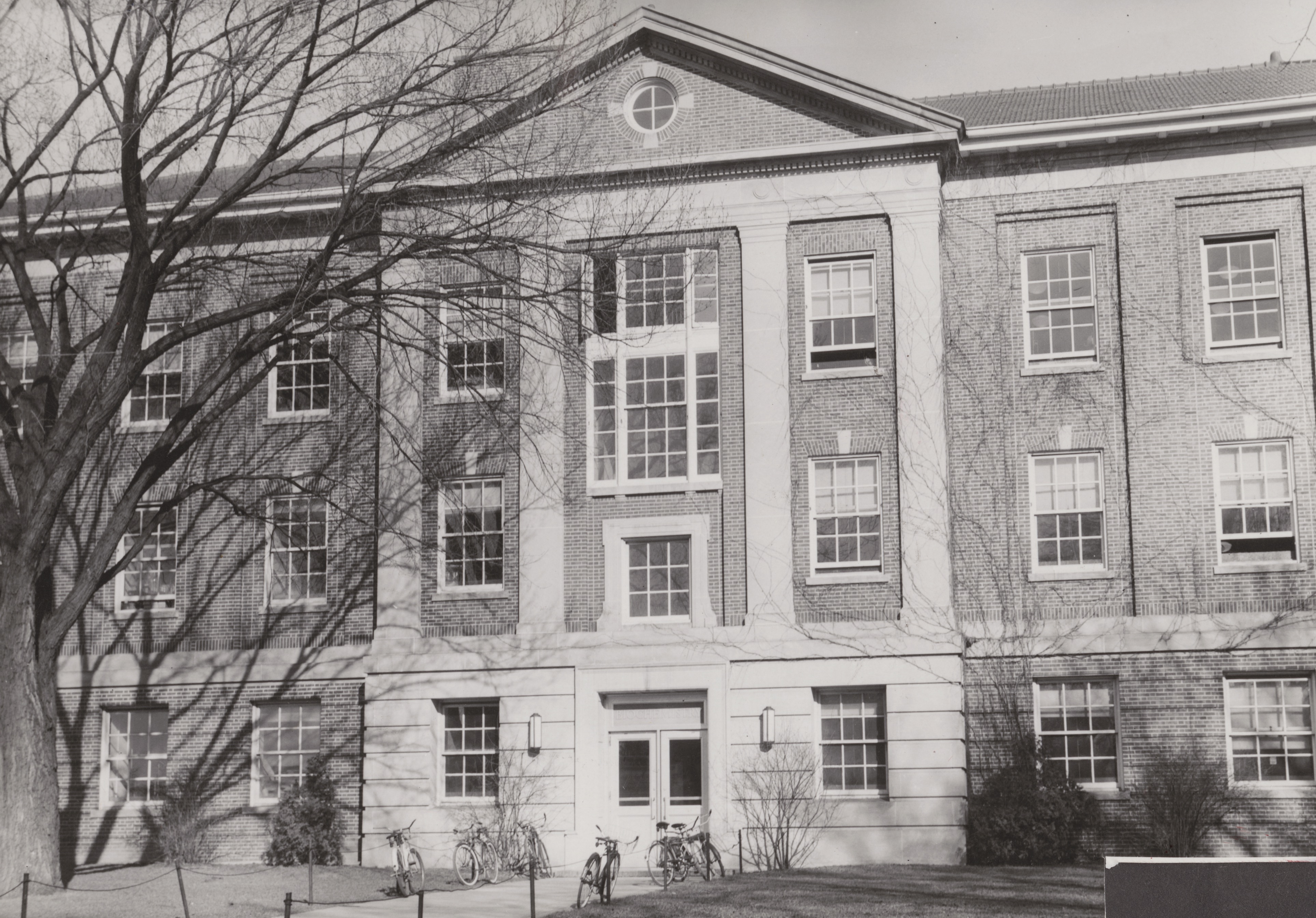 Dutch elm disease claims “Elmer,” a campus tree more than a century old