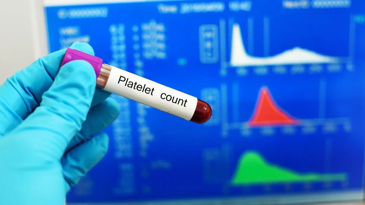 How to Increase Platelet Count Foods and Supplements Newsblare