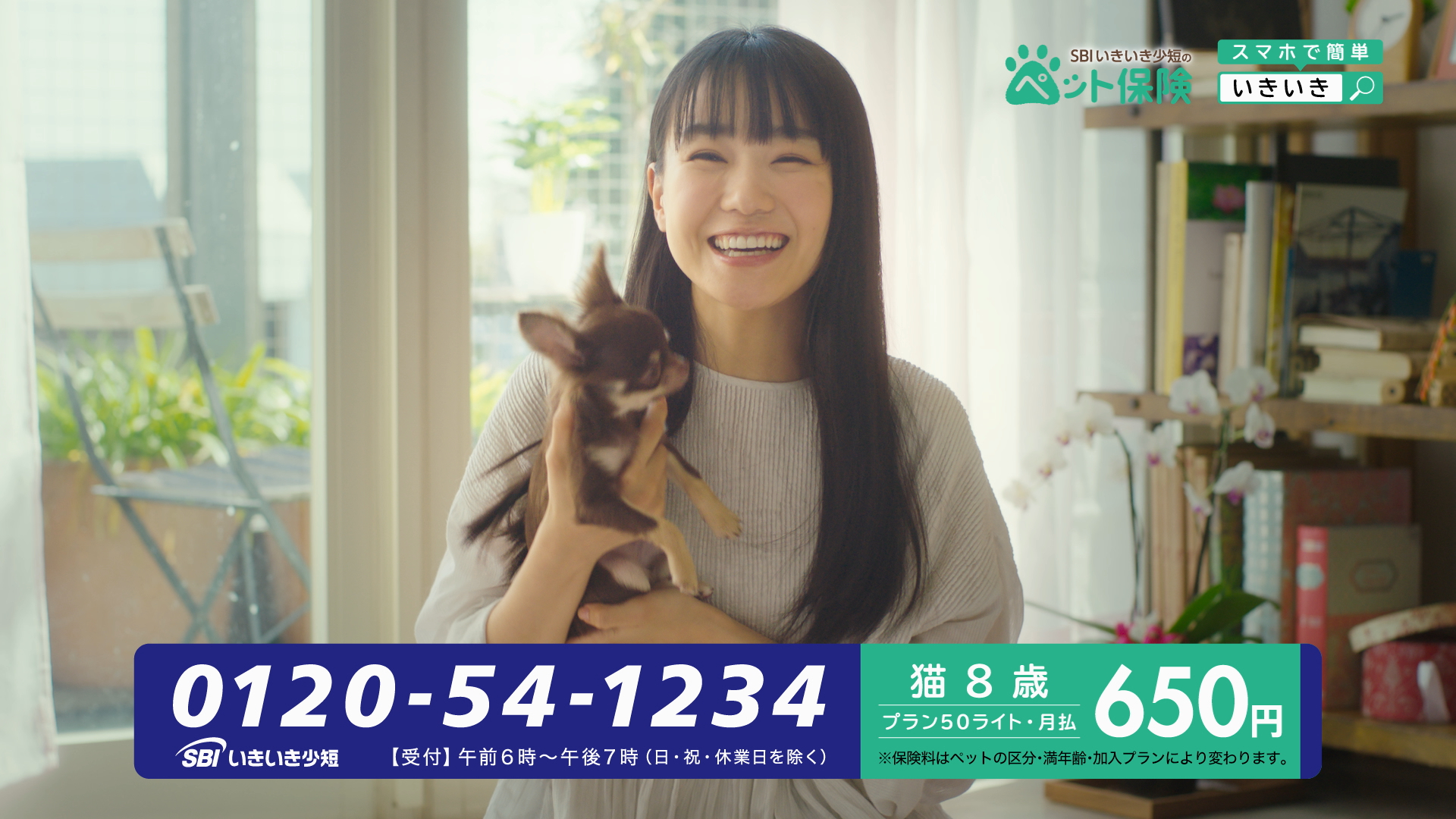 女優・奈緒さん出演「SBIいきいき少短のペット保険」新テレビCM放送記念キャンペーンを実施！ NEWSCAST