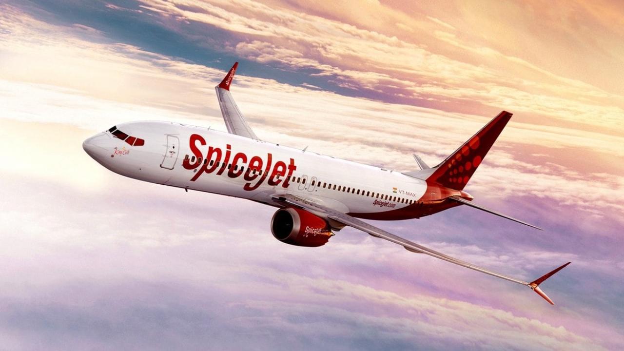 SpiceJet to launch 24 new domestic flights from Feb 12 onwards