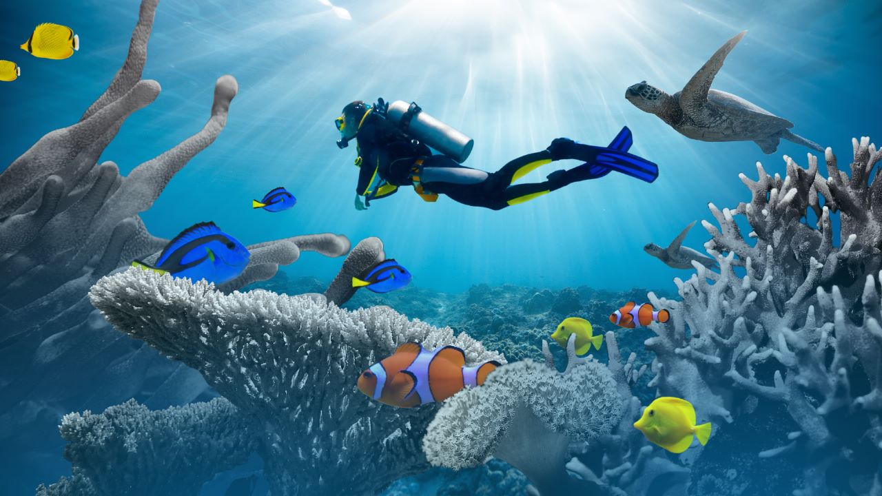 Artificial habitats Not enough to save PH coral system Inquirer News