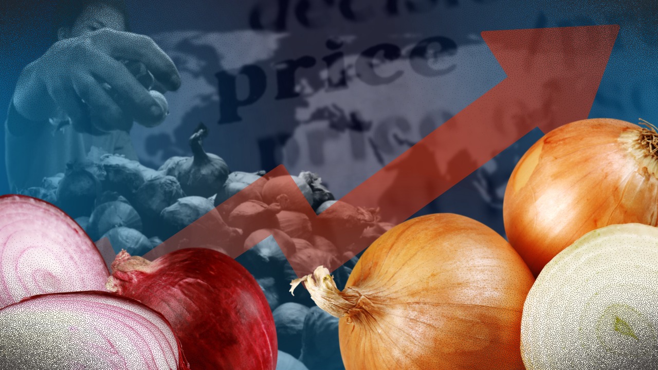 Onion prices worldwide much lower, deepen questions on incredulous