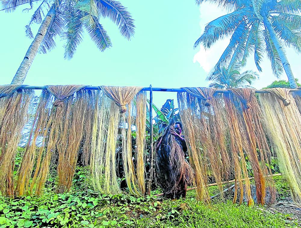 Abaca industry in peril over use of polymer in peso bills Inquirer News