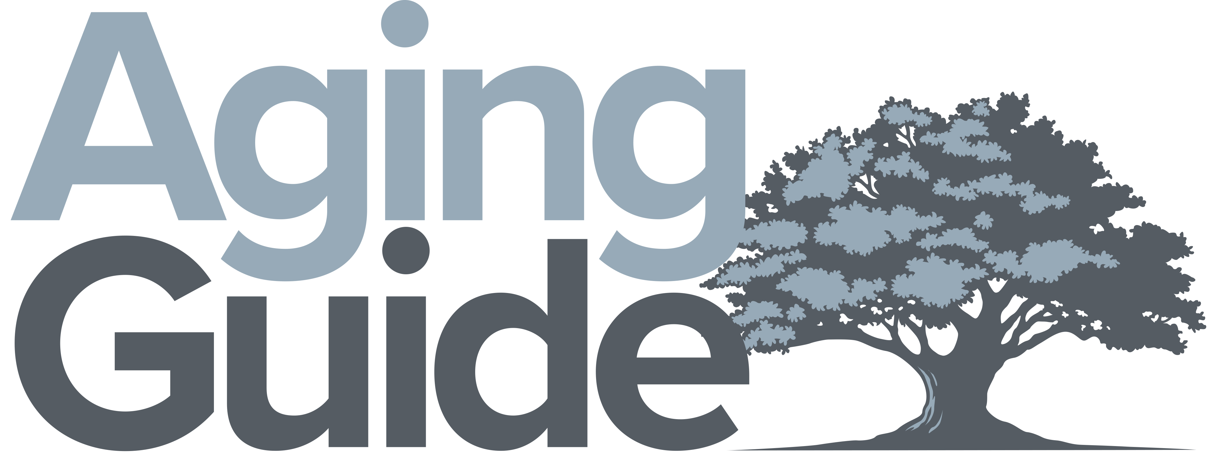 Aging Guide Pittsburgh PostGazette