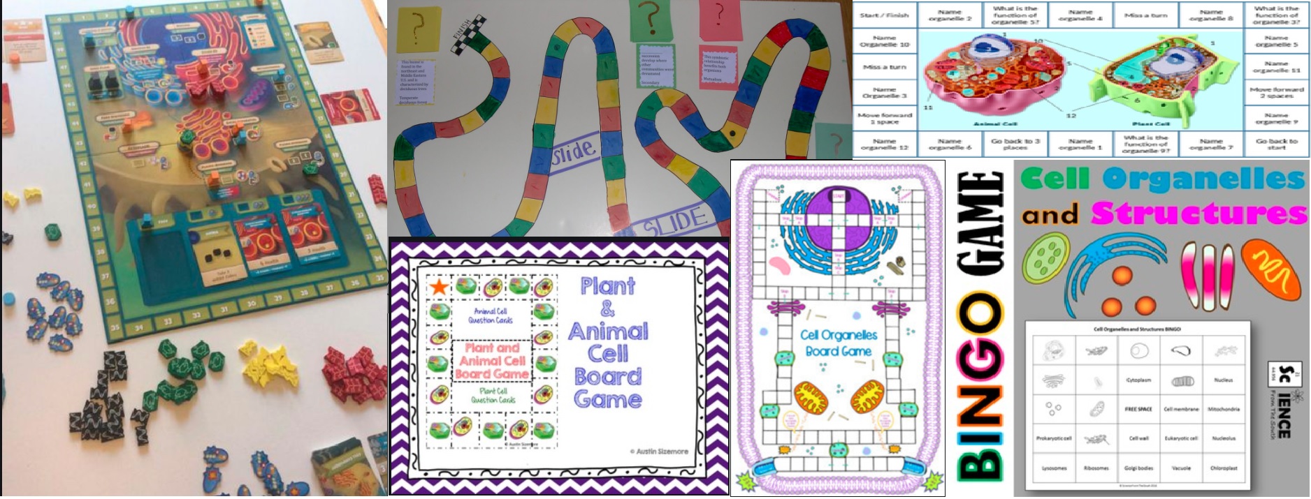 Cell Biology Board Game Project