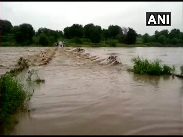Water level of Rajasthan's River Chambal may cross danger mark by today