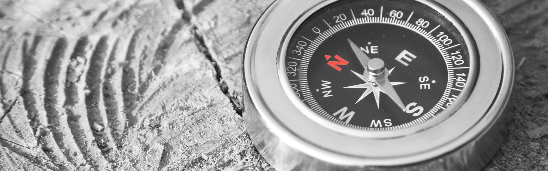 The NEWS Compass® NEWS NAVIGATION