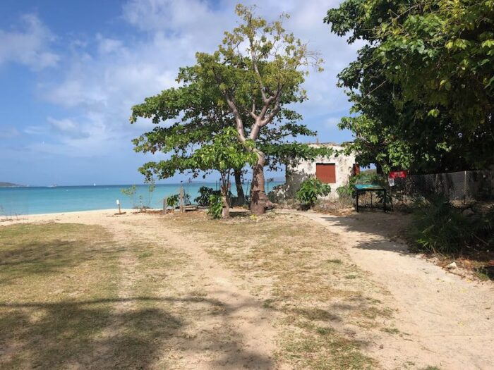 Cinnamon Bay Campground Gets Reopening Date! News of St. John