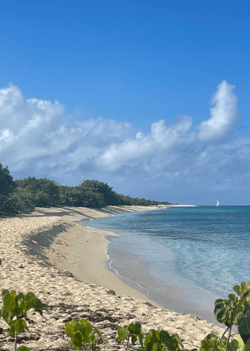 Sandy Point News of St. Croix