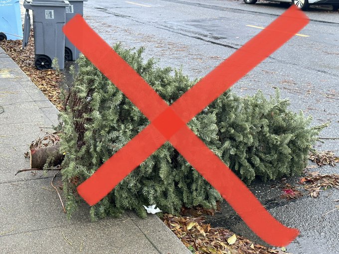 How to dispose of your Christmas tree