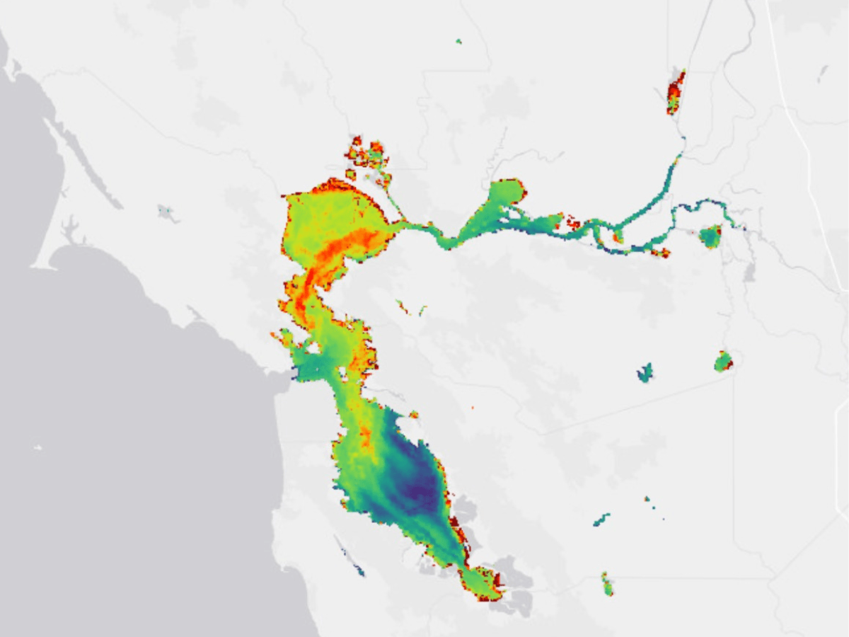 New map offers glimpses of San Francisco Bay algae blooms
