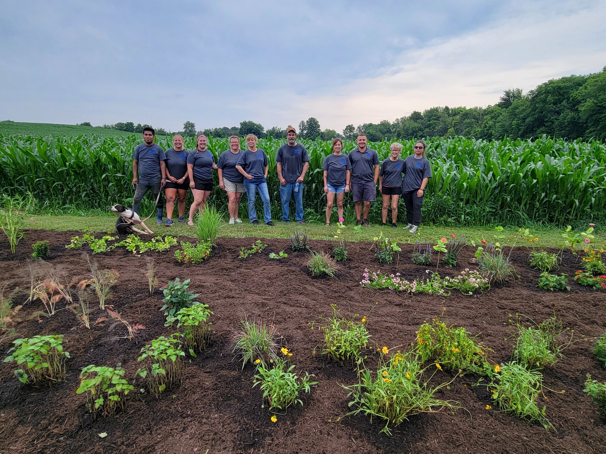 BlueScope Recycling plants pollinator garden at Shelby park