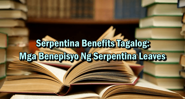Serpentina Benefits Tagalog Mga Benepisyo Ng Serpentina Leaves