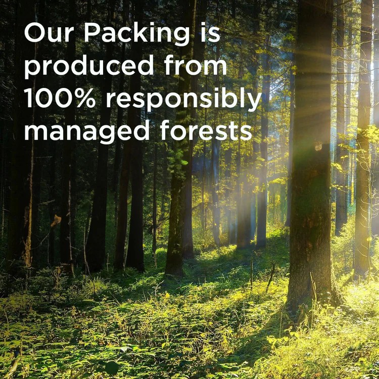 Nimbus9 Newsroom Newsroom