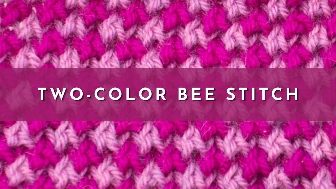 The TwoColor Bee Stitch Knitting Stitch Dictionary Colorwork