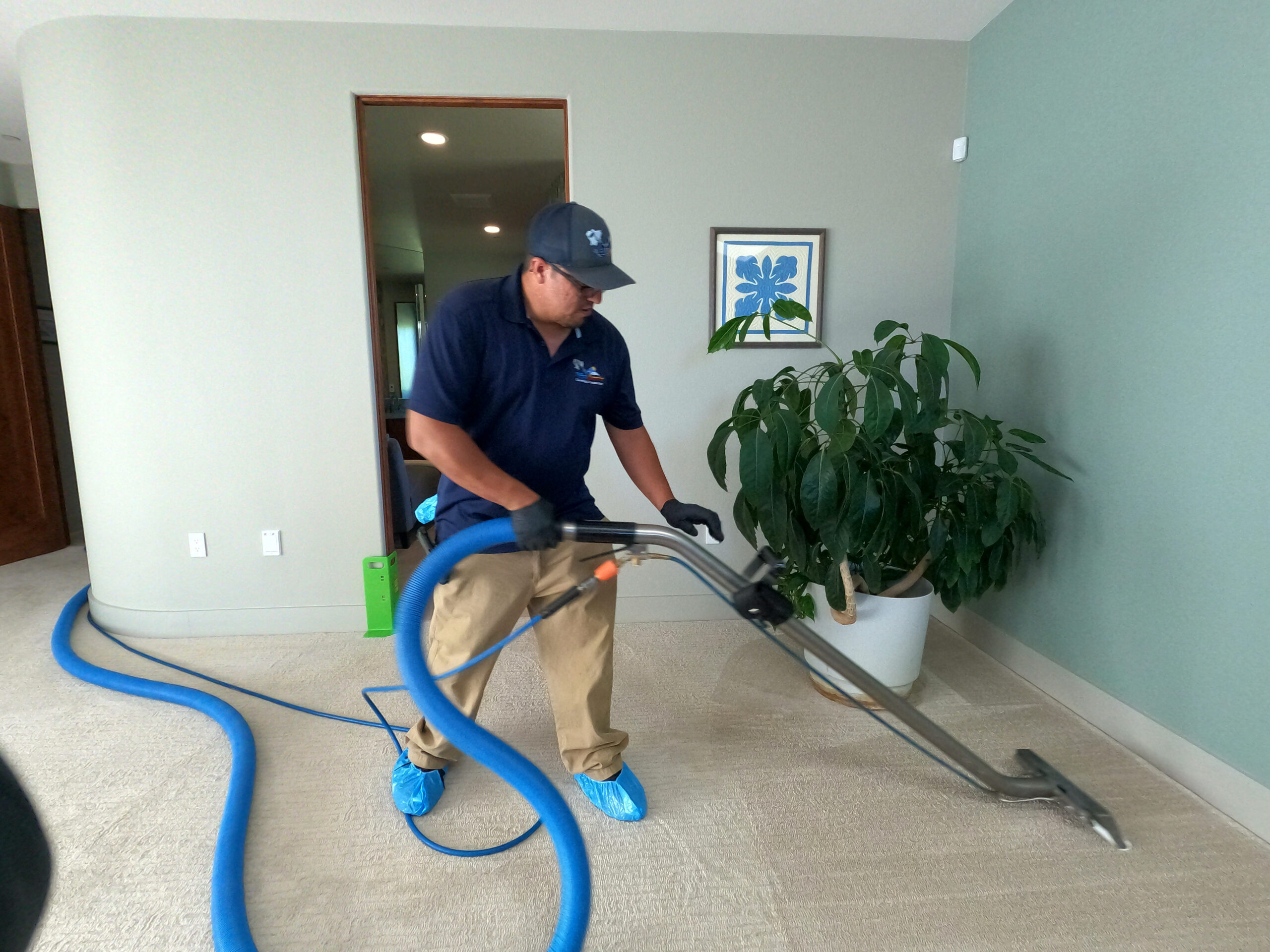 Reviews New Sunrise Cleaning and Restoration