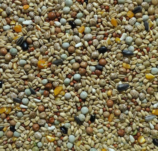 SULTADA Gamecock CONDITIONER Special » NewTree Your onestop