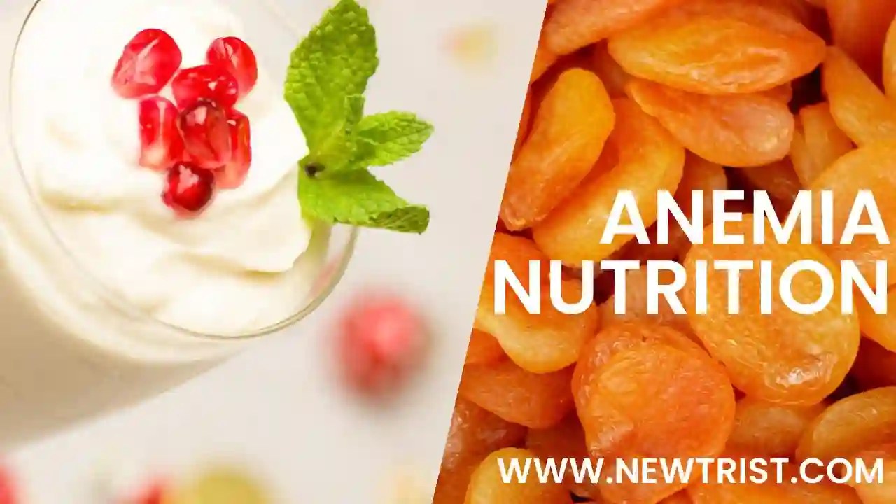 Anemia Nutrition Newtrist Nutritionist Dietitian Dietician