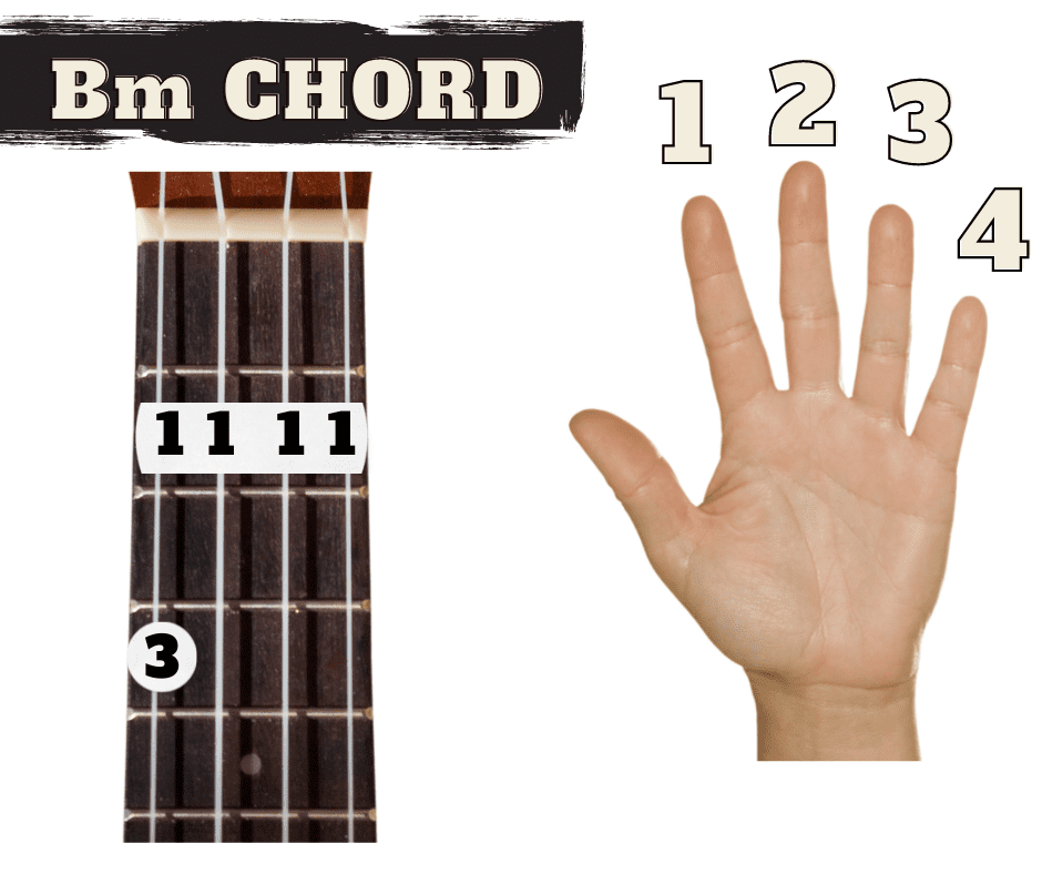 Bm Ukulele How to Play the Ukulele Chord Bm Ukulele for Beginners