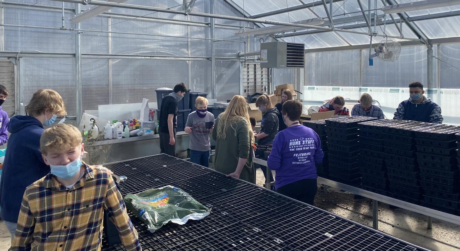 The Eagle Online Greenhouse Turning Green