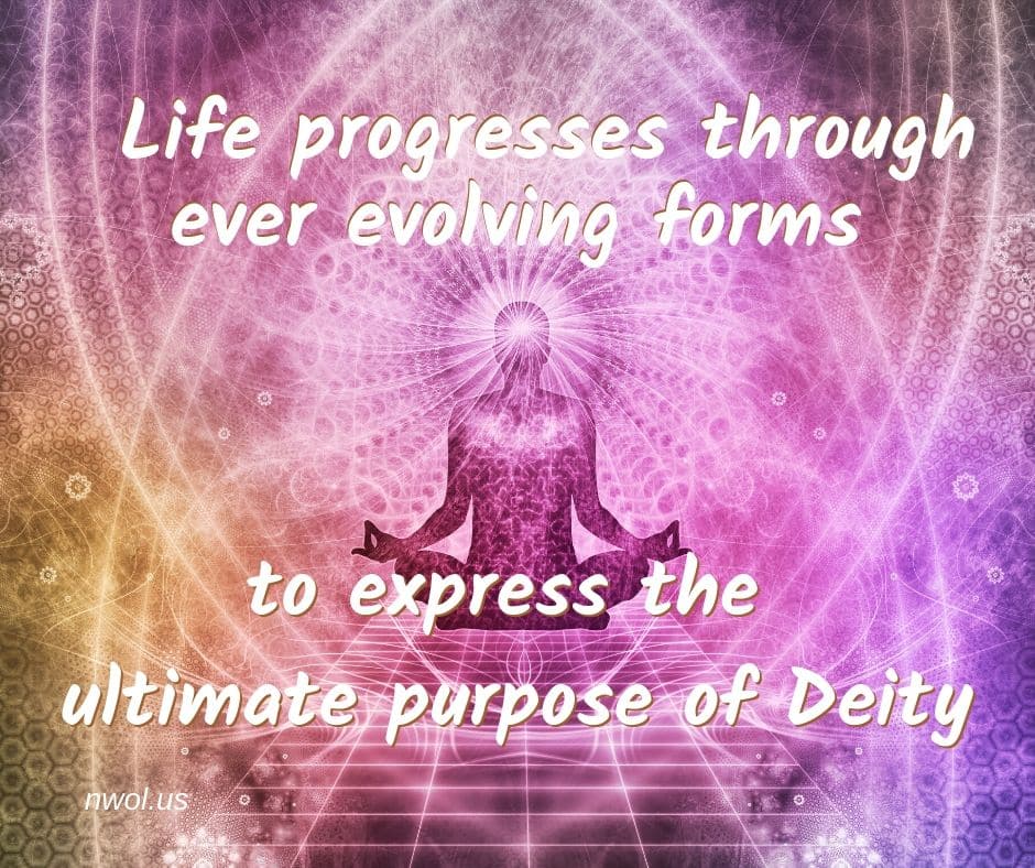 Life progresses through ever evolving forms New Waves of Light