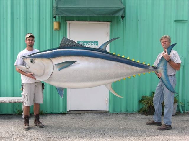 Bluefin Tuna Mounts New Wave Taxidermy