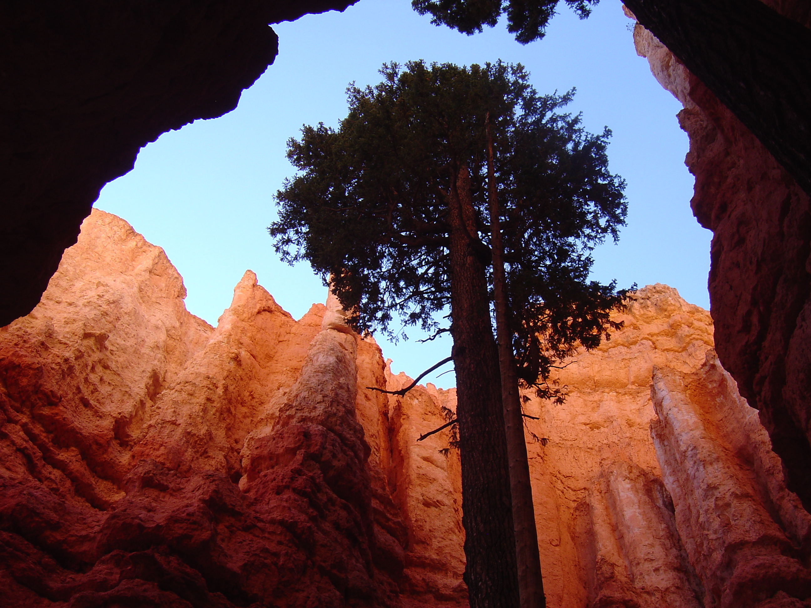 Hiking Bryce Canyon Part 1 Queens Garden/Navajo Loop Trail New West