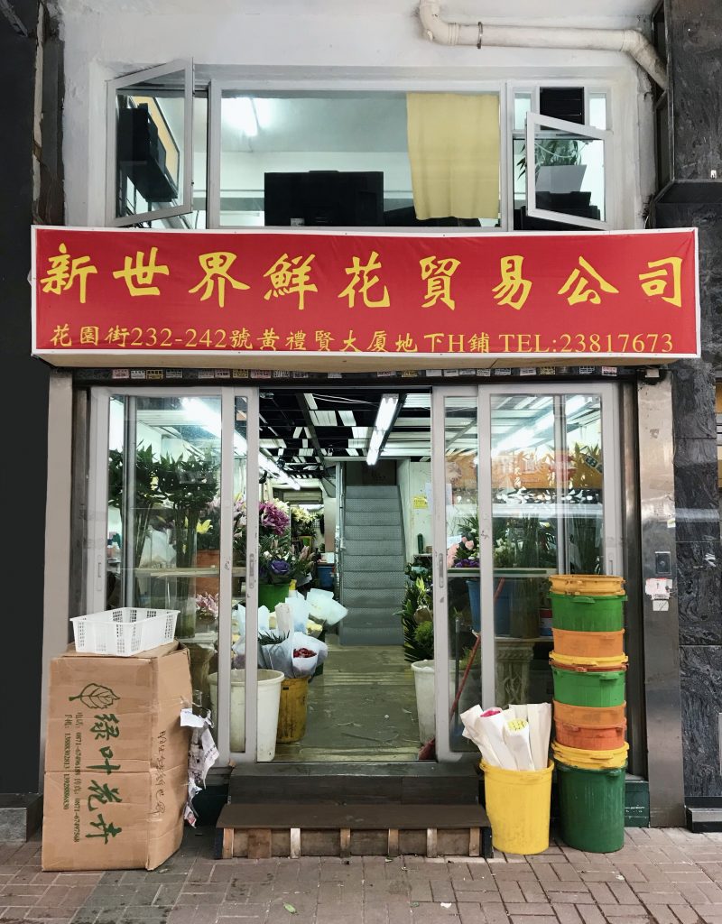 About us New World Flower