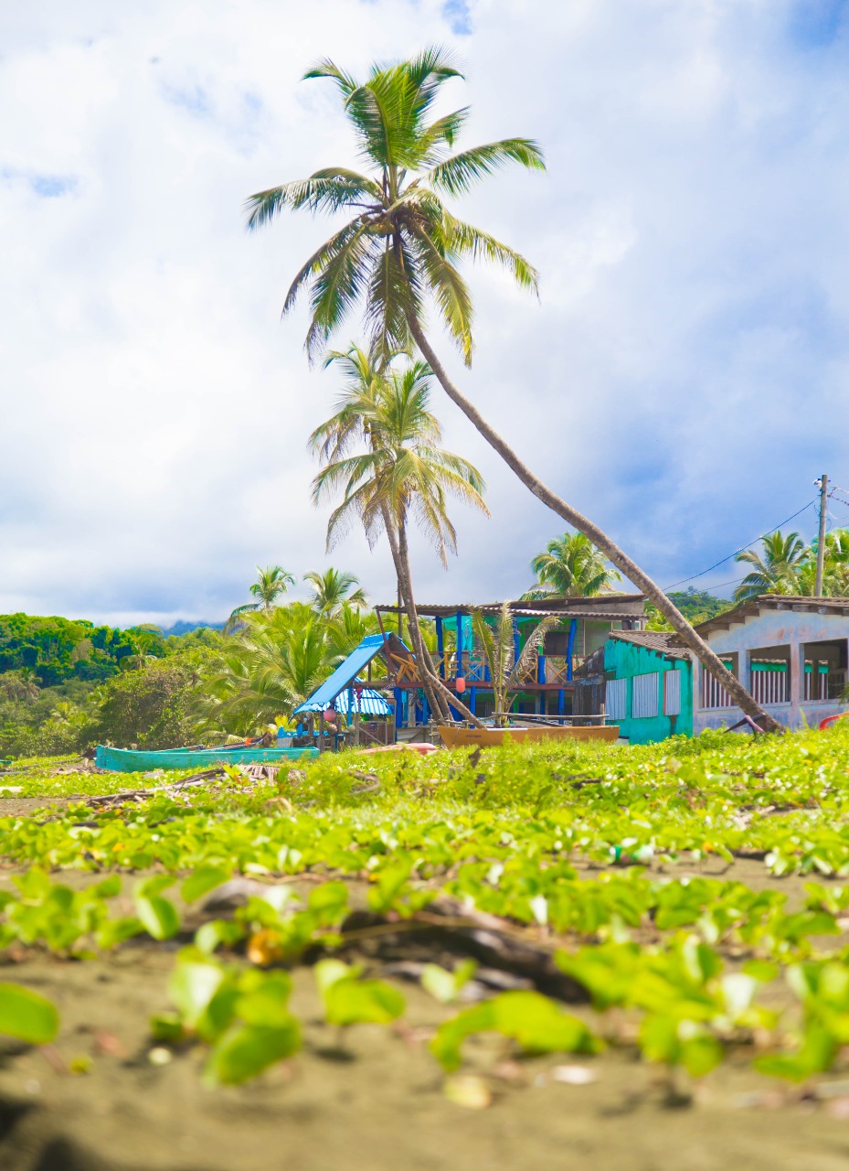 For Sale Rest House in María Chiquita, Colón New World Real Estate
