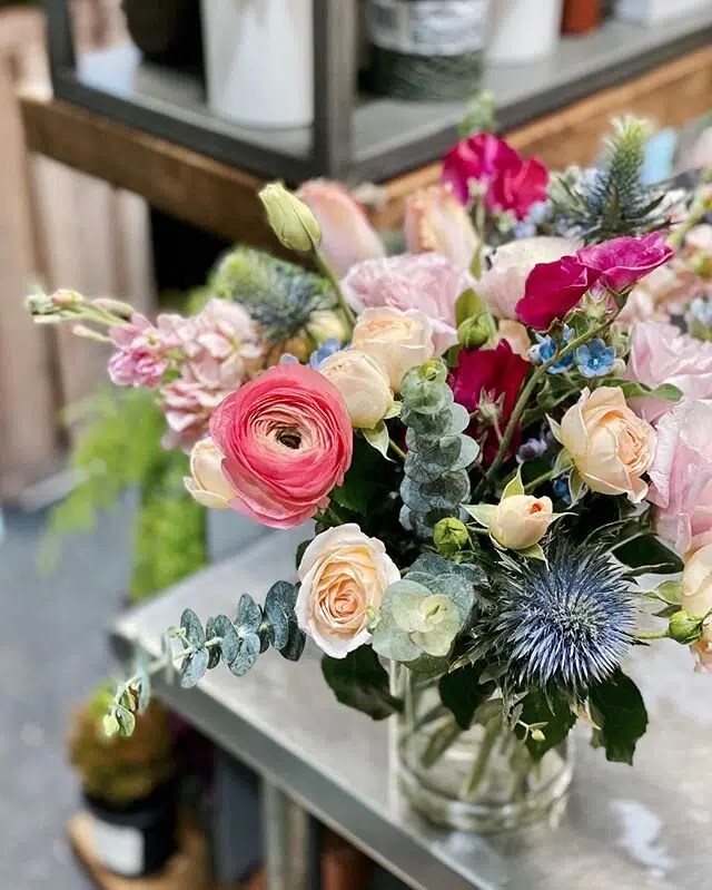 15 PREMIER Plant Stores in New York City (Beginner Friendly)