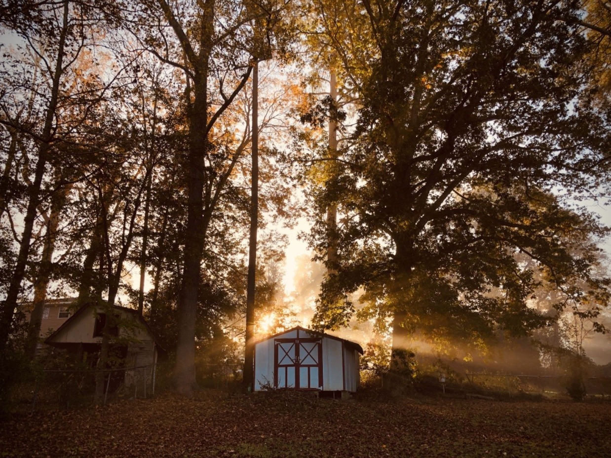What Is The Cheapest Way To Build A Shed? New York Spaces