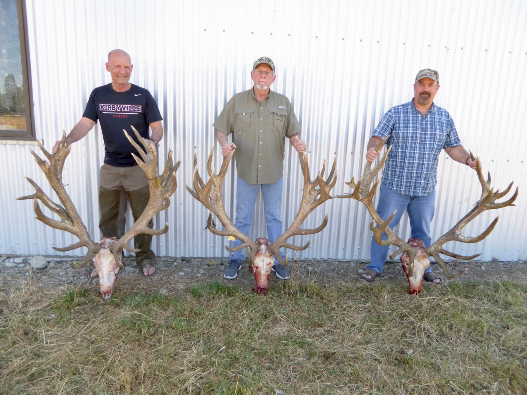 How much is a red stag hunt in New Zealand? · New Zealand Safaris