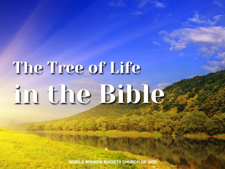 The Tree of Life in the Bible